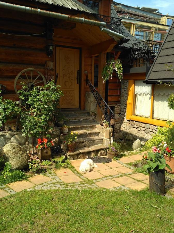Figusowka Daire Zakopane Dış mekan fotoğraf