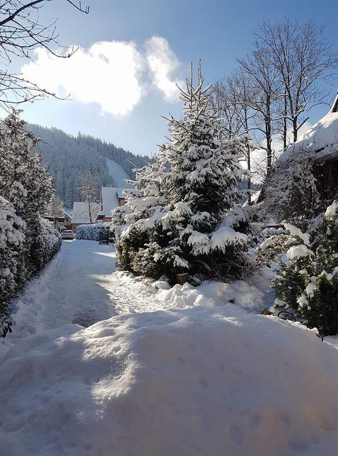 Figusowka Daire Zakopane Dış mekan fotoğraf