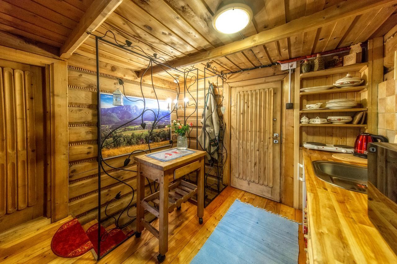 Figusowka Daire Zakopane Dış mekan fotoğraf
